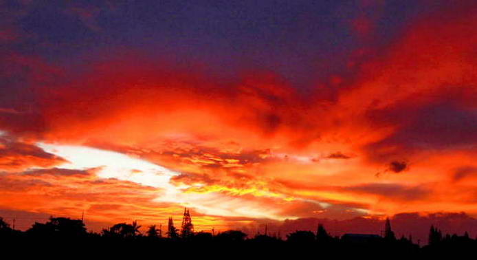 red sunset maui rentals