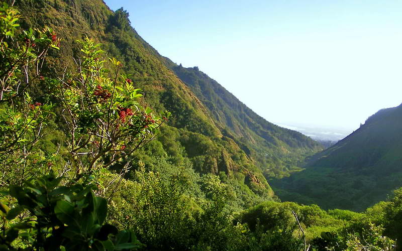 Looking towards Wailuku from Iao