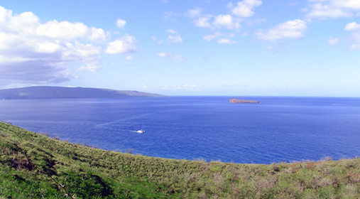 wailea resort town Maui